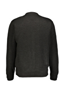 Finesuits Erkek Triko Mont 2322201041.DSMNTPYR