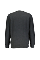 Finesuits Erkek Kadife Sweatshirt 242209002.KDFOYR