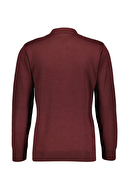 Finesuits Erkek Düz Yünlü Desenli Yünlü Kazak 2522201018.PYR