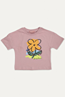 GÜL KURUSU GÜL KURUSU