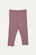 GÜL KURUSU GÜL KURUSU