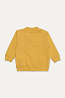 Funfair 3'lü Bebek Takım 2526113010.E