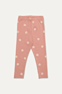 AÇIK KAHVERENGİ AÇIK KAHVERENGİ