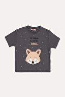 Funfair Erkek Çocuk Tişört 2616210001