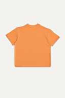 Funfair Erkek Çocuk Tişört 2616210003