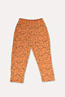 Funfair Erkek Çocuk Dinozor Baskılı Kısa Kollu Pijama Takımı 251ET03PL