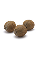 Hindistan Cevizi Adet