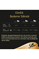 Sheba Pouch Somonlu Kedi Maması 85G