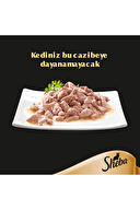 Sheba Pouch Somonlu Kedi Maması 85G