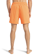 Billabong Erkek Deniz Şortu EBYJV00104