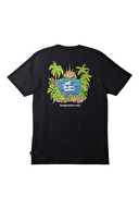 Quiksilver Erkek Tişört AQYZT09543-10010