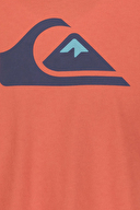 Quiksilver Erkek Tişört EQYZT07658-MJR0