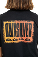 Quiksilver Erkek Tişört EQYZT07670-10010