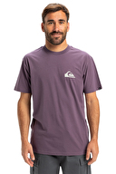 Quiksilver Erkek Tişört EQYZT08042-PQC0