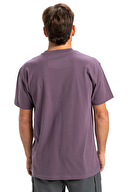 Quiksilver Erkek Tişört EQYZT08042-PQC0