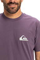 Quiksilver Erkek Tişört EQYZT08042-PQC0
