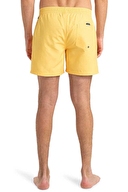 Quiksilver Erkek Mayo Şort EQYJV04120.SRI