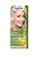 Pnc Pallette Saç Boyası 12-1 Küllü Buz Sarısı