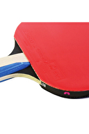 Butterfly Timo Boll Silver ITTF Onaylı Masa Tenisi Raketi