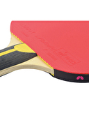 Butterfly Schlager Silver ITTF Onaylı Masa Tenisi Raketi