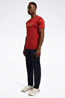 Reebok Erkek Eşofman Altı 100042384