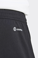 adidas Erkek Şort H57504