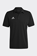 adidas Erkek Polo Yaka Tişört HB5328