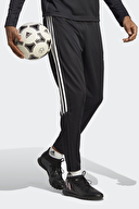 adidas Erkek Eşofman Altı HS3619