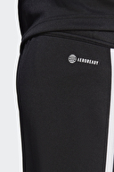 adidas Erkek Eşofman Altı HS3619