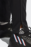 adidas Erkek Eşofman Altı HS3619