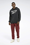 Reebok Erkek Sweatshirt 100050262