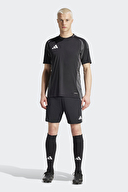 adidas Erkek Şort IR9376