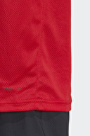 adidas Erkek Tişört HZ3095