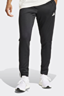 adidas Erkek Eşofman Altı IR7848