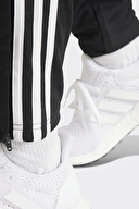 adidas Erkek Eşofman Altı IR7848