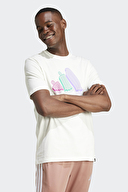 adidas Erkek Tişört JJ4020