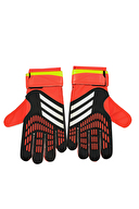 adidas Kaleci Eldiveni IQ4027