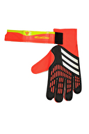 adidas Kaleci Eldiveni IQ4027