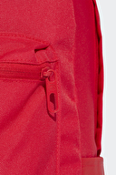 adidas Sırt Çantası IS7059