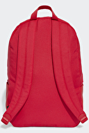 adidas Sırt Çantası IS7059