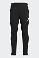 adidas Erkek Eşofman Altı IW0415