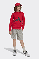 Adidas Çocuk Sweatshirt JE1389