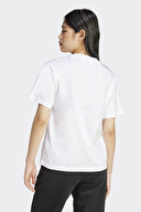 adidas Kadın Tişört JC5944