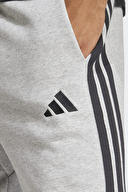 adidas Erkek Şort JE6419