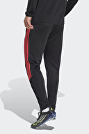 adidas Erkek Eşofman Altı JY7242