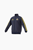 MAVİ MAVİ