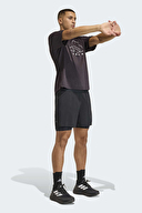 adidas Erkek Şort KA4331