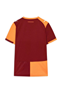 Puma Galatasaray 25/26 Erkek İç Saha Parçalı Forma 77980901
