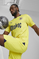 Puma Erkek Fenerbahçe Forma 77200604