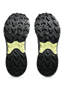 Asics Gel-Venture 10 Erkek Ayakkabı 1011B967-400